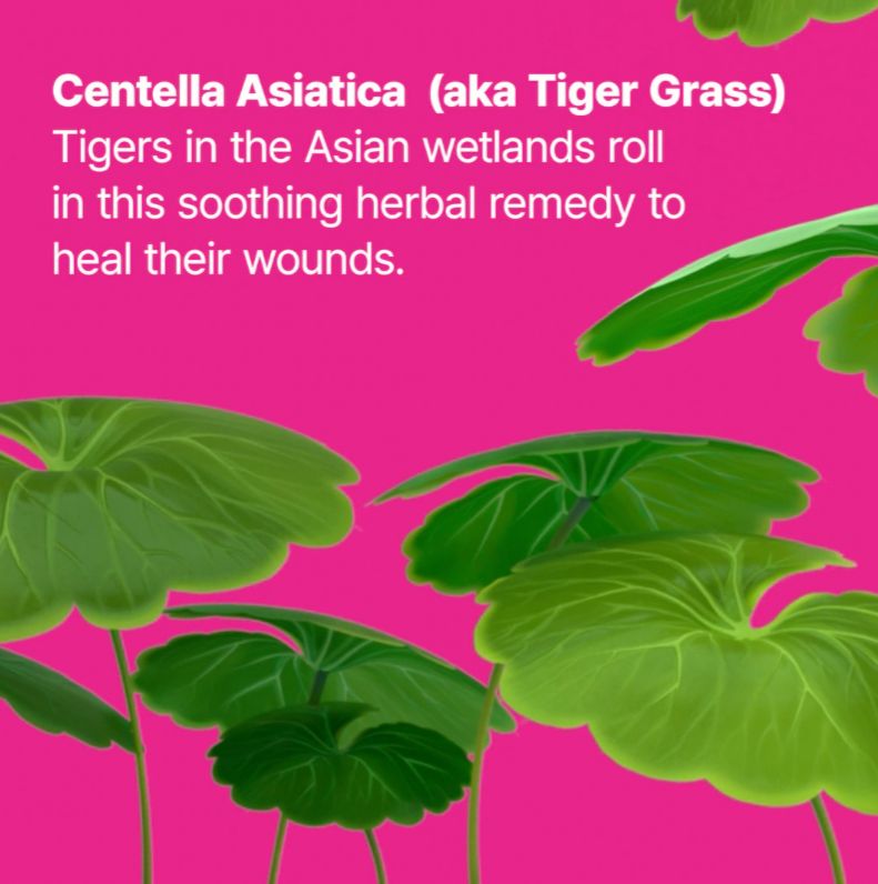 Cicapair Camo Drops Tinted Serum SPF 35