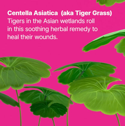 Cicapair Camo Drops Tinted Serum SPF 35